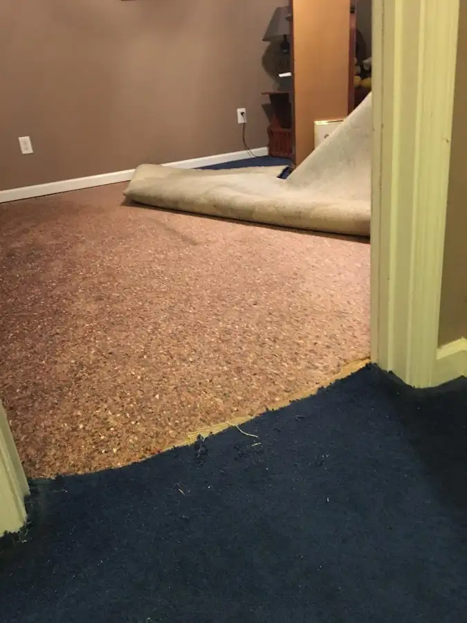 Carpet pad removal revealing water damage during Water Mitigation Services in Cocoa Beach