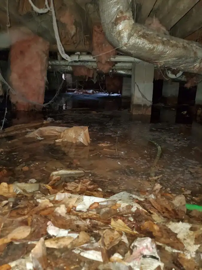 Crawl space flood assessment for Commercial Water Damage Restoration in Cocoa Beach